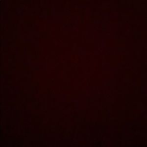 Meet your Posher, Tommy